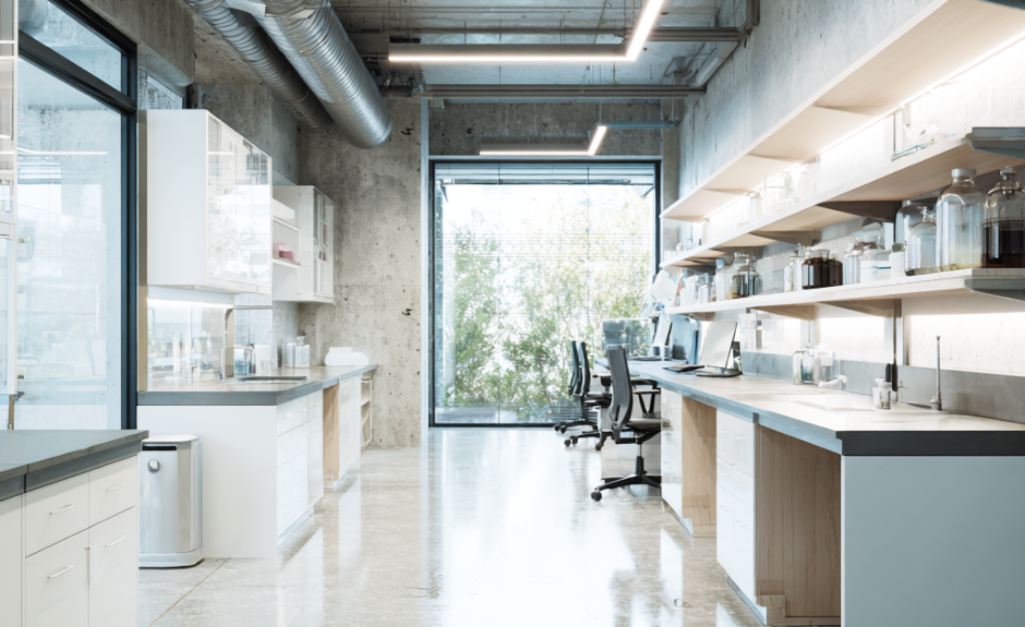 Advancing Vascular Grafts Through Biomaterial Innovation